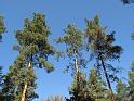 2011-10-02, Pilze (24)